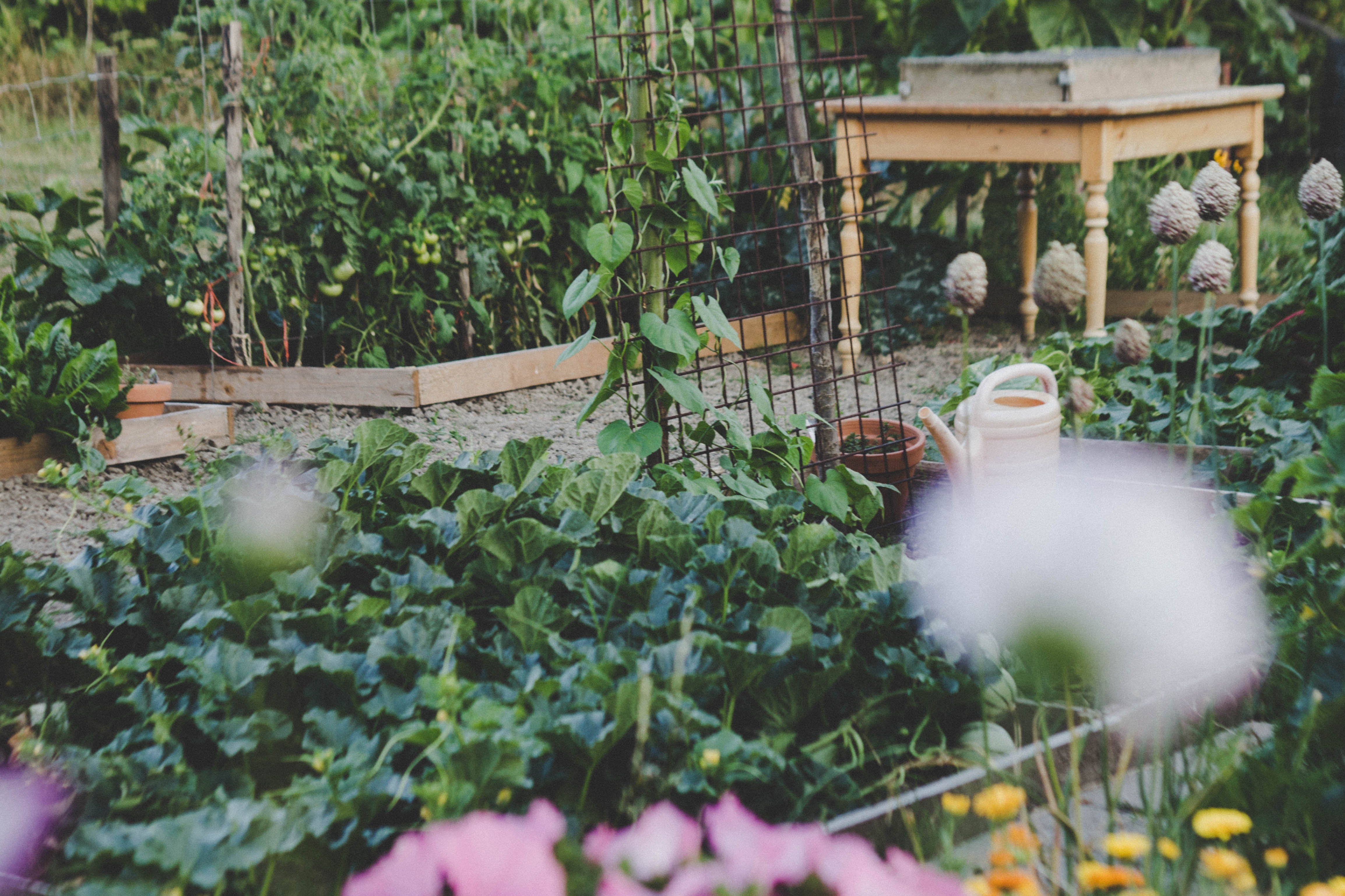 Pleasant Street and Nine Mile Urban Farm