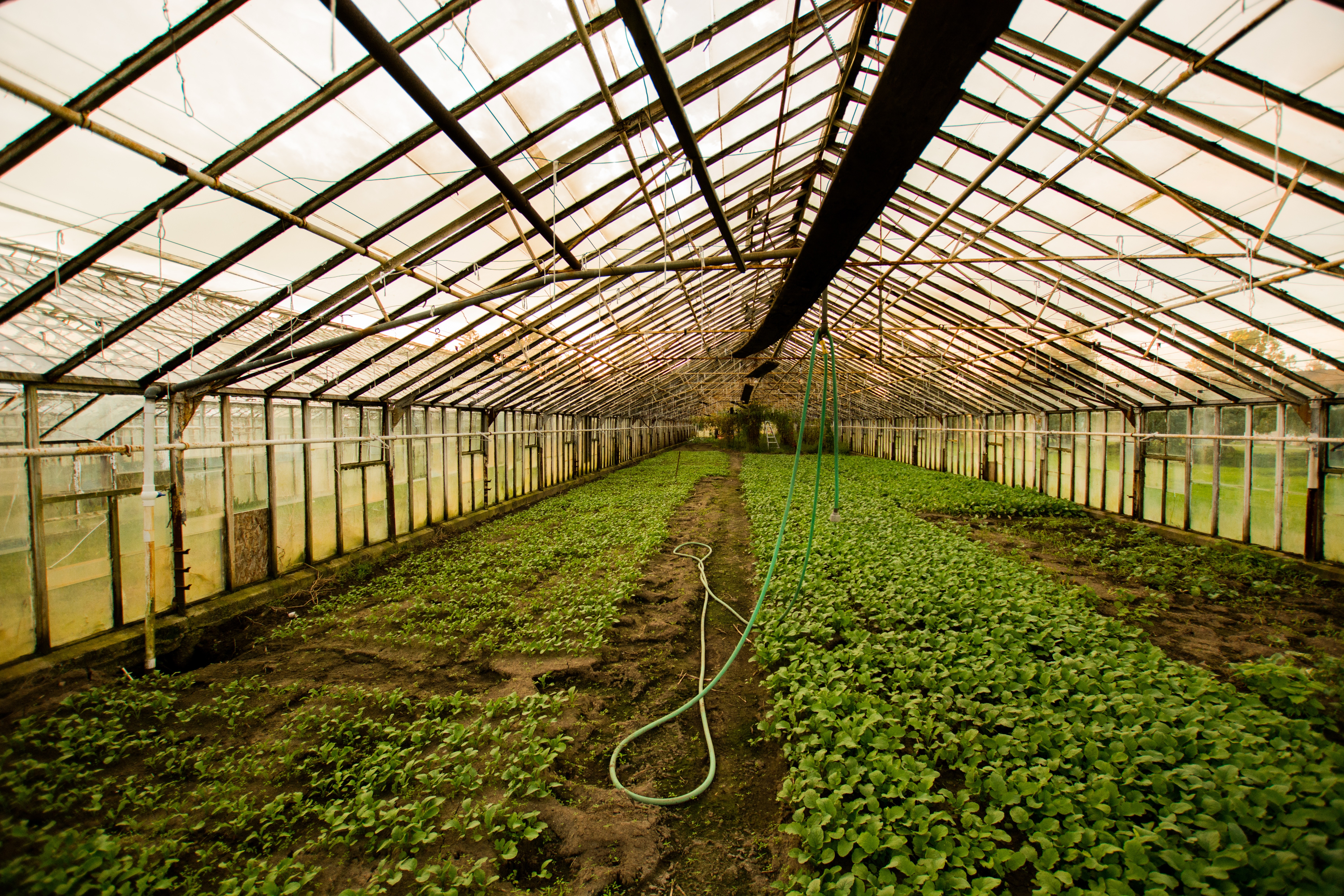 Pleasant Grove Baptist Church Community Garden